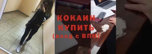 прущий лед Алзамай