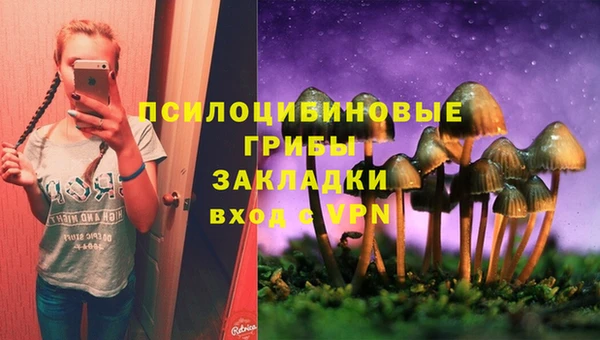 герыч Алексин