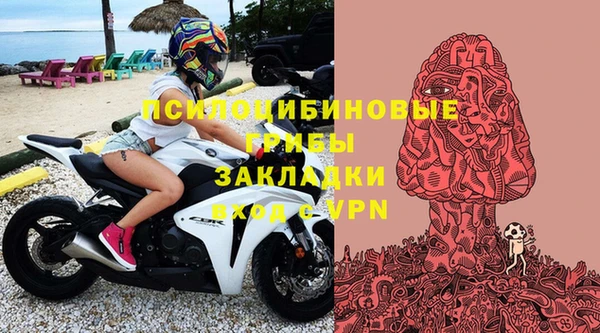 герыч Алексин