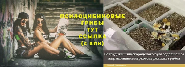 прущий лед Алзамай