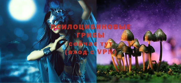 герыч Алексин