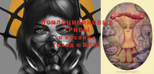 герыч Алексин